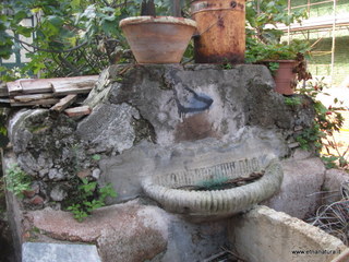lazzo Riggio-16-10-2015 11-19-39